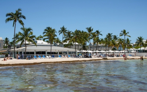 beach front area with building behind.