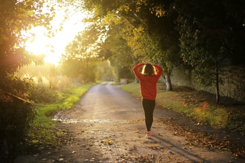 person walking down a country road with lush greenery on either side